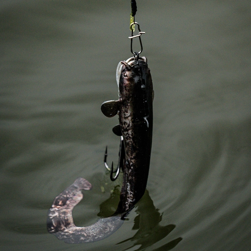 Fox Rage Ultra Natural Catfish Replicant Lures